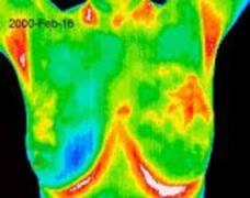 FLIR Interpretation of Thermography